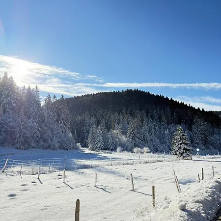 Ca' Santina & Shared Kitchen Nocleg ze śniadaniem *