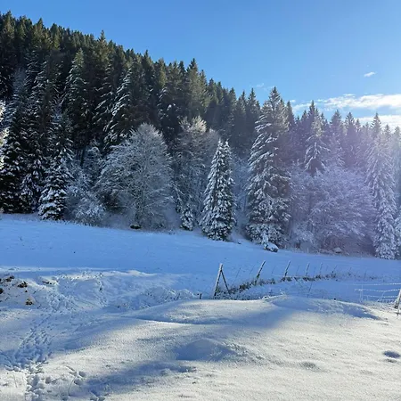 לינה וארוחת בוקר Ca' Santina & Shared Kitchen *