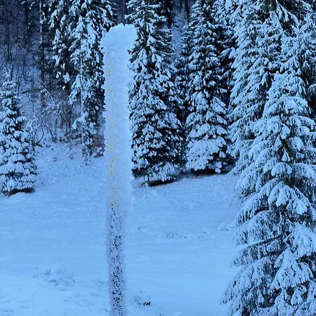 Ca' Santina & Shared Kitchen Nocleg ze śniadaniem Stoccareddo