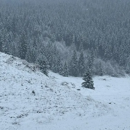 Ca' Santina & Shared Kitchen Stoccareddo