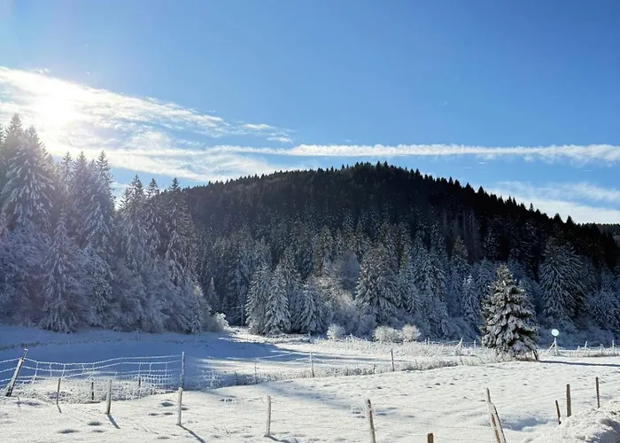 Ca' Santina & Shared Kitchen Nocleg ze śniadaniem *