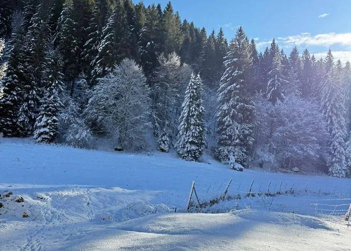 Nocleg ze śniadaniem Ca' Santina & Shared Kitchen *