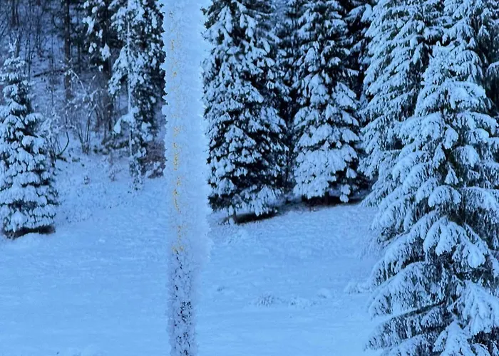 Ca' Santina & Shared Kitchen לינה וארוחת בוקר Stoccareddo