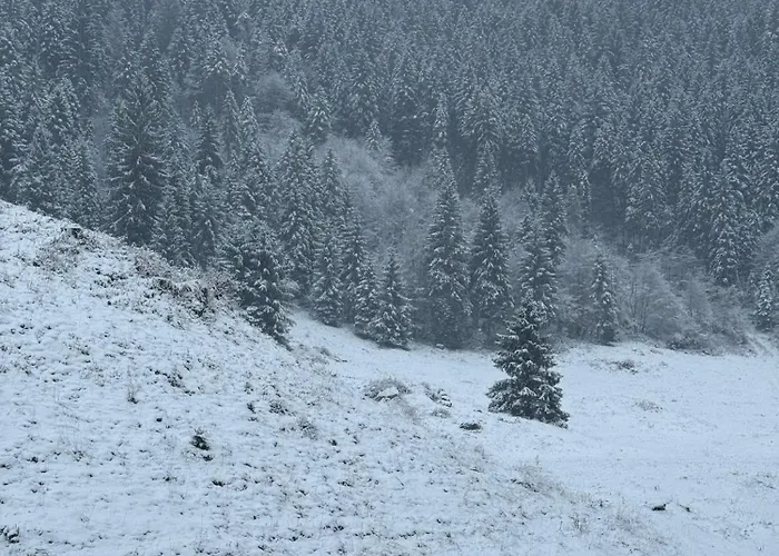 Ca' Santina & Shared Kitchen Stoccareddo