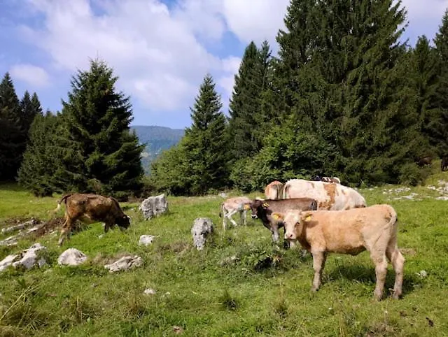 Ca' Santina & Shared Kitchen *