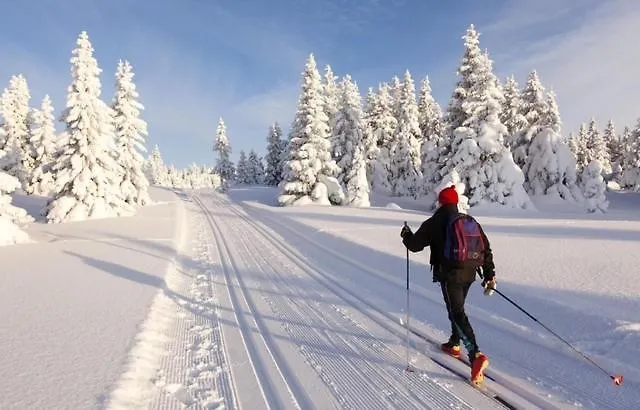 Ca' Santina & Shared Kitchen