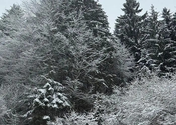 Ca' Santina & Shared Kitchen Stoccareddo